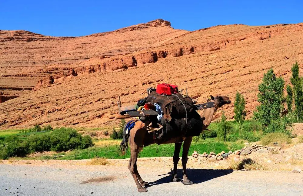 tamtatouchte-ait-hani-1-1 AIT HANI ET SA REGION