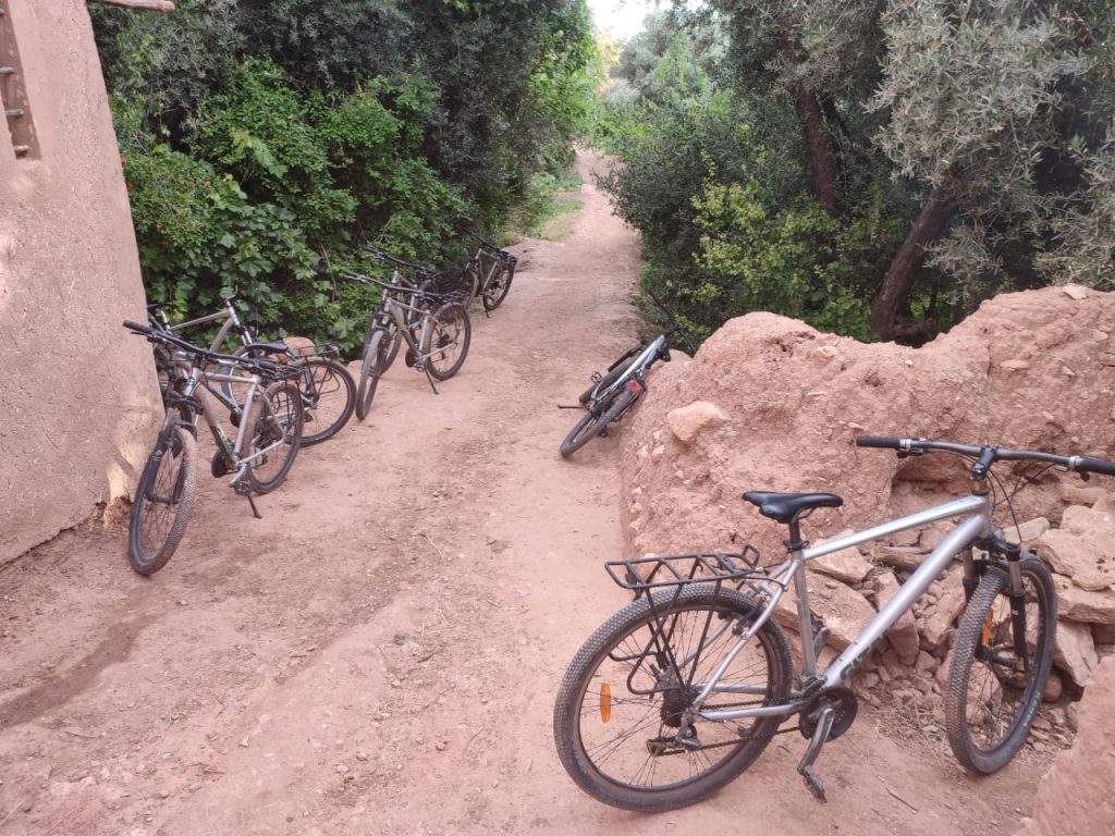 89b54fa4-3fbd-4e4e-9536-a4ff5a5b6789-1024x768 Randonnée à VTT dans l’oasis de Toudgha : une immersion inoubliable entre nature et culture